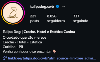 Topo do perfil @tulipadog.cwb